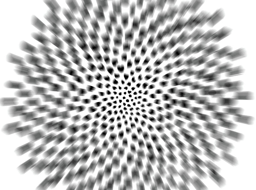 Phyllotaxis Motion Painting by Jeremy Robinson
