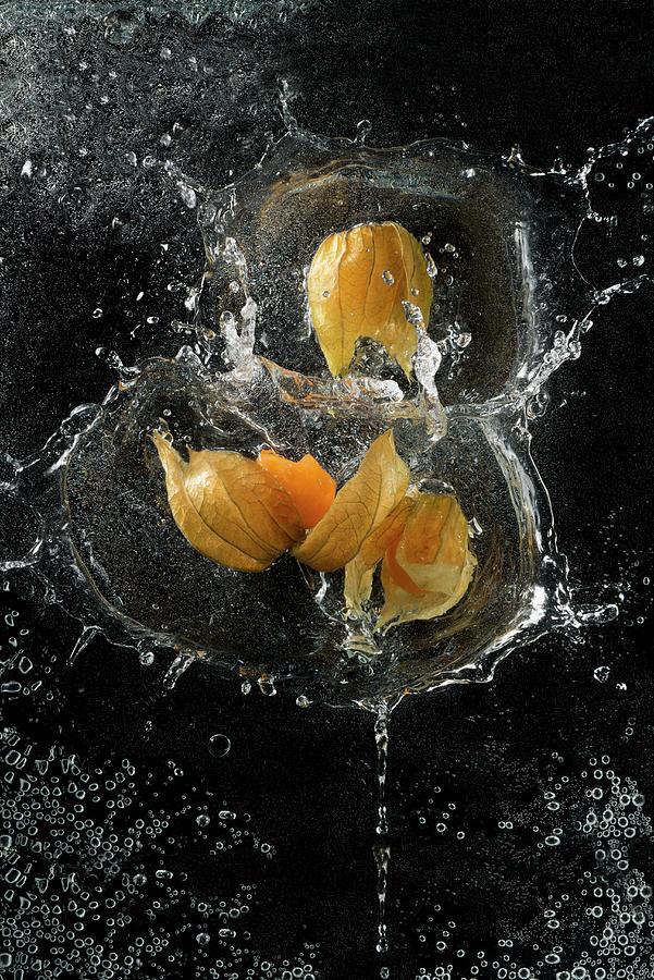 Physalis Falling Into Water Photograph by Gaelle Ap
