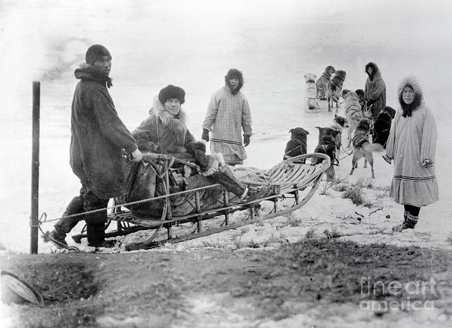 Physician Riding With Dog Sled Team Photograph by Bettmann