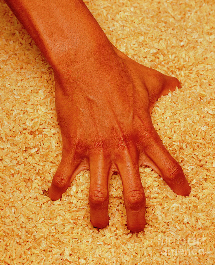 Physiotherapy: Mans Hand Exercise With Rice Photograph by John Greim/science Photo Library