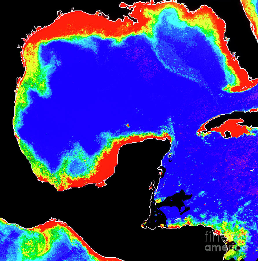 Phytoplankton In Gulf Of Mexico (satellite Image) Photograph by Dr Gene ...