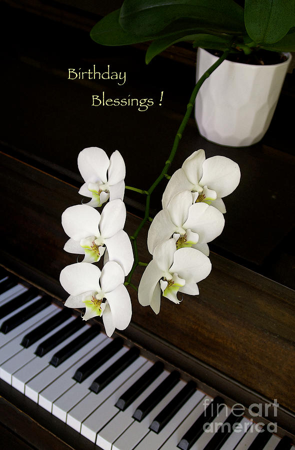 Piano And Orchid-birthday Blessings Photograph