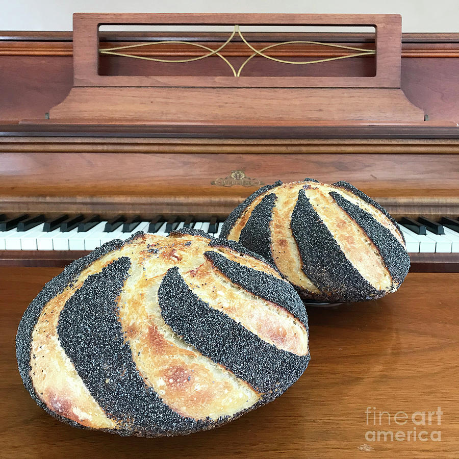 Piano and Poppy Seed Swirl Sourdough 1 Photograph by Amy E Fraser