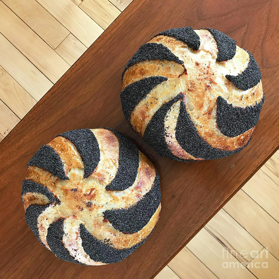 Piano And Poppy Seed Swirl Sourdough 2 Photograph by Amy E Fraser