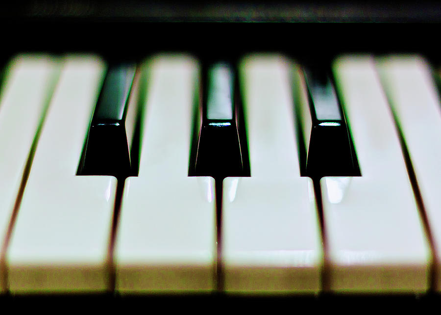 Music Photograph - Piano Keys by Calvert Byam