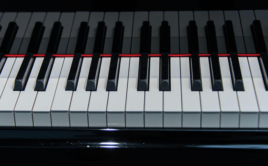 Piano Keys Closeup Pyrography By Sina Vodjani