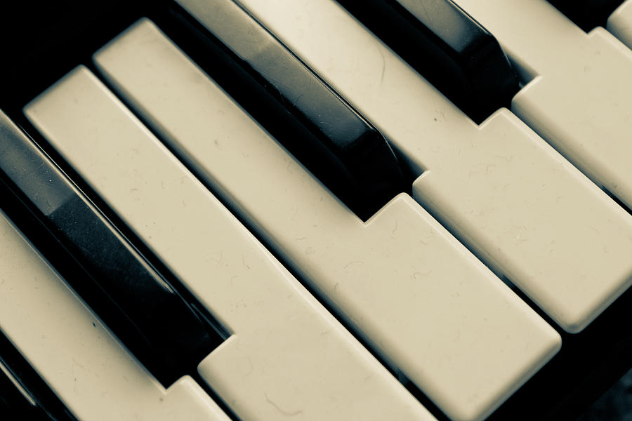 Piano Keys Photograph by Dm909