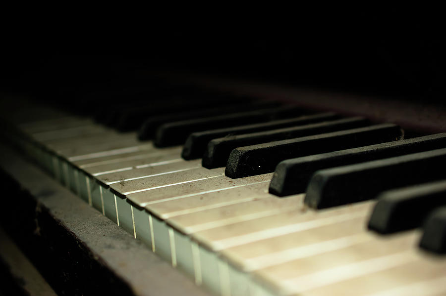 Piano Keys Photograph by Shauna Collins - Fine Art America