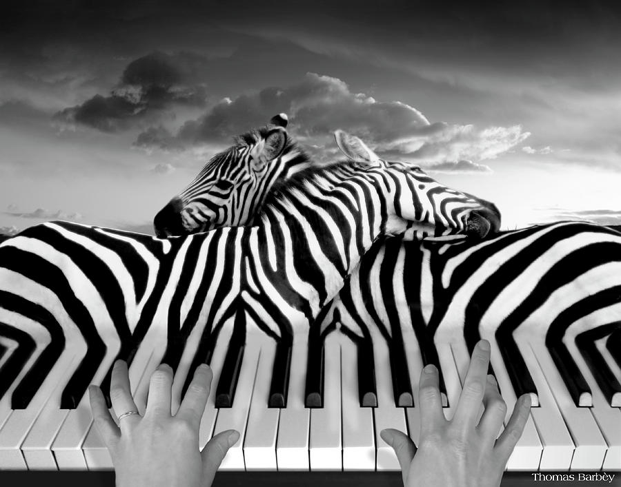 Zebra Mixed Media - Piano Peace by Thomas Barbey
