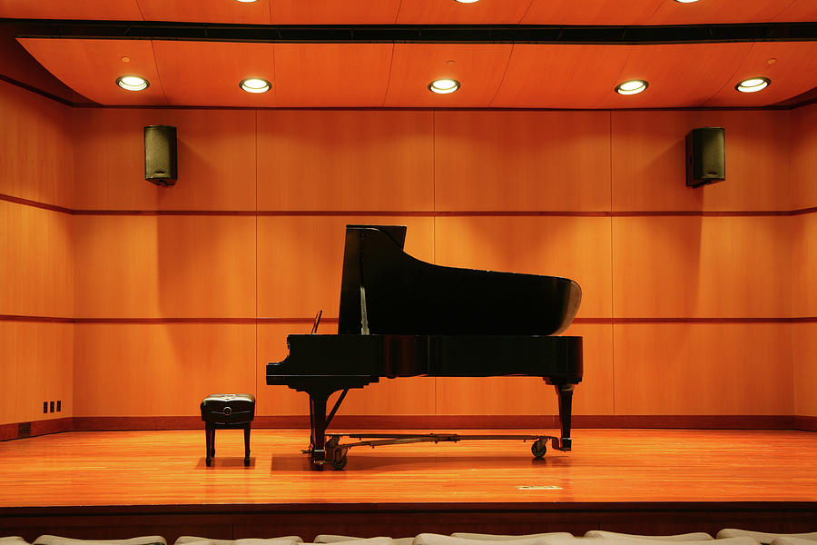 Piano Recital Photograph by Yenwen