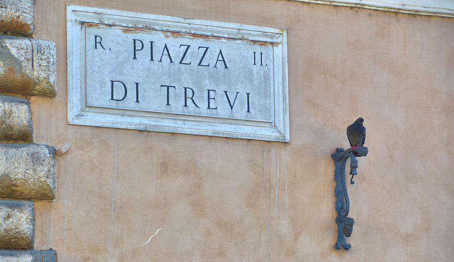 Piazza Di Trevi Photograph by JAMART Photography
