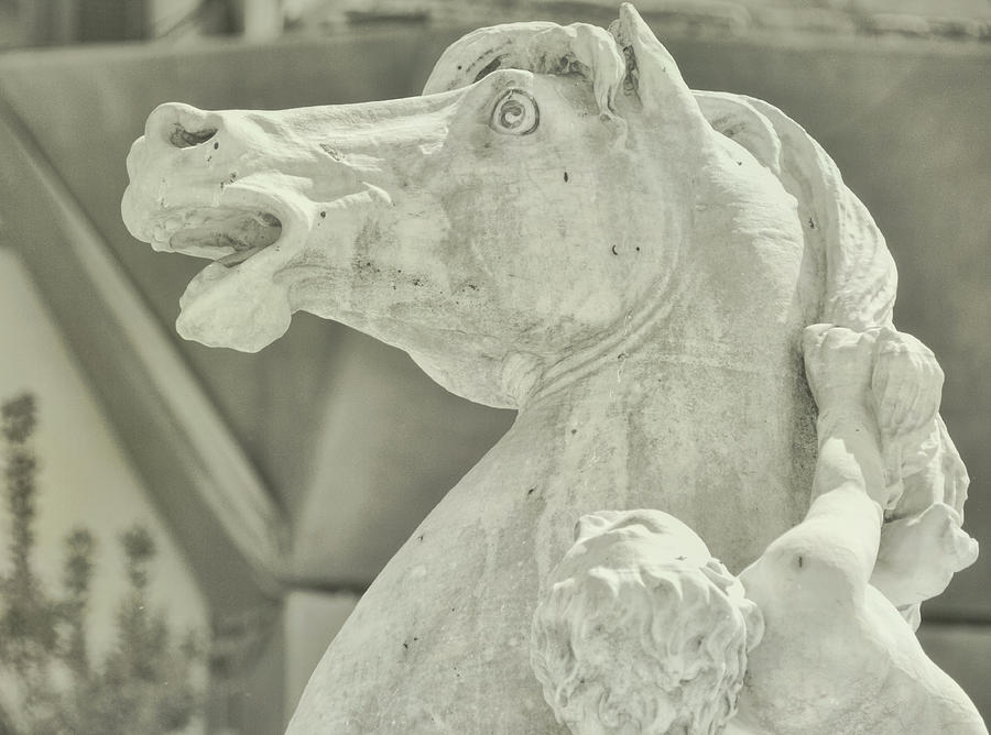 Fountain Photograph - Piazza Equine by JAMART Photography