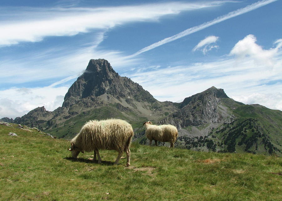 Pic Du Midi Dossau Photograph by Vosgien Par Adoption