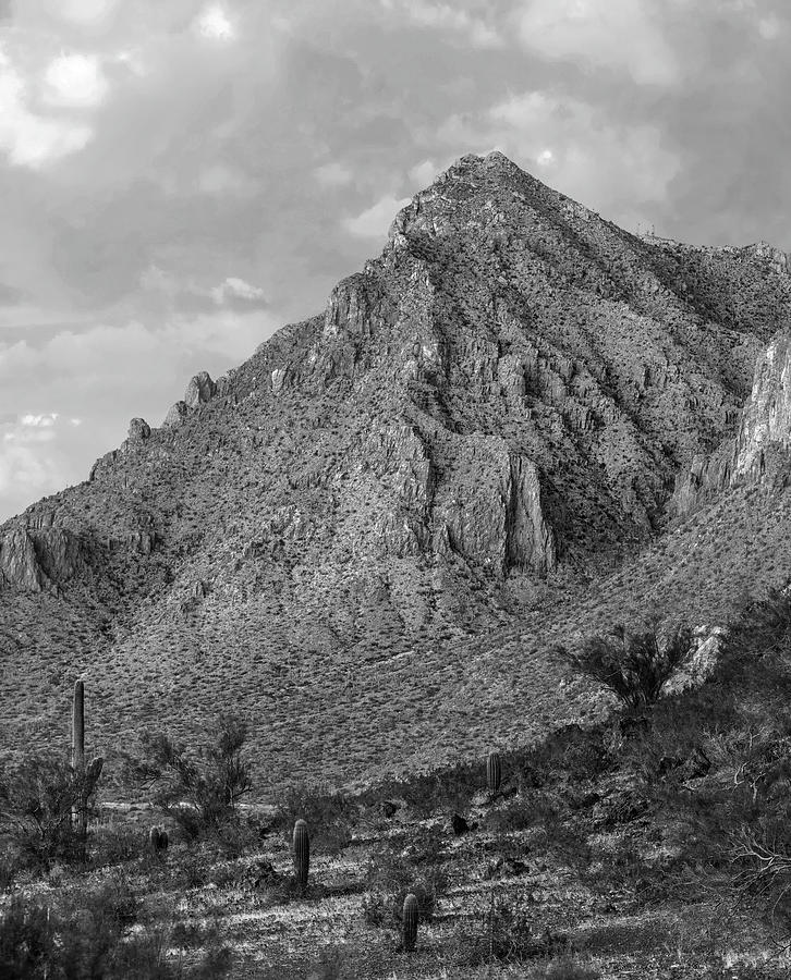 Picacho Mountains, Arizona Photograph by Tim Fitzharris