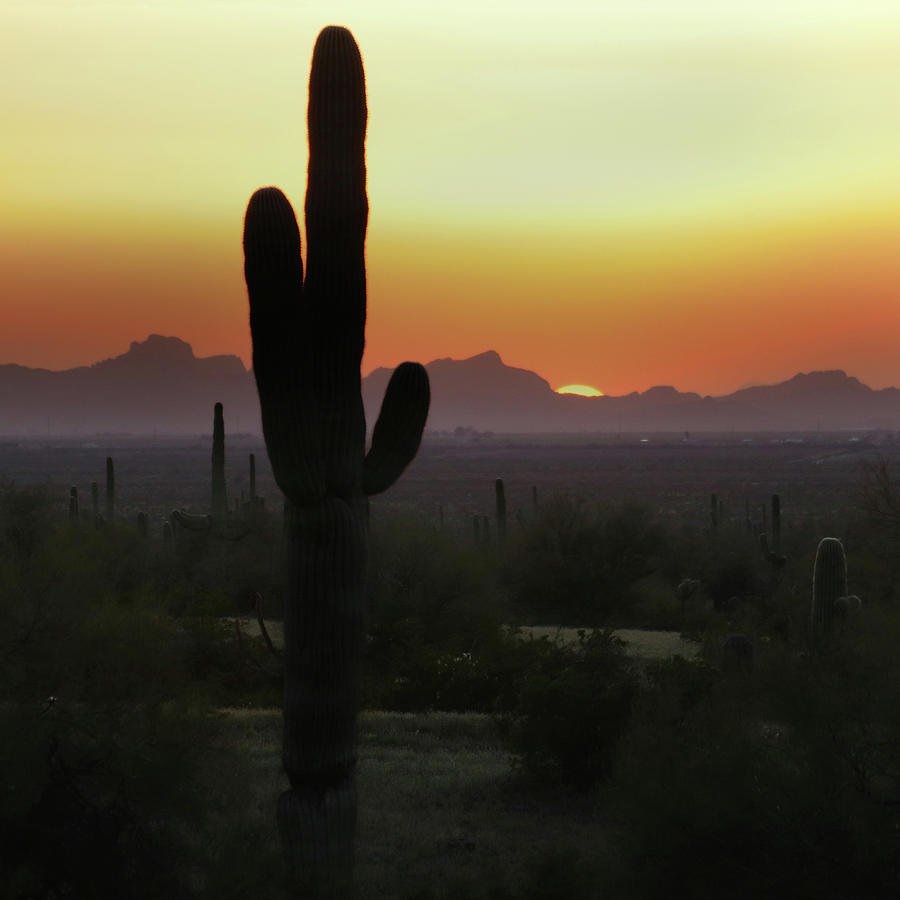 Picacho Peak Sunset Square Photograph by David T Wilkinson