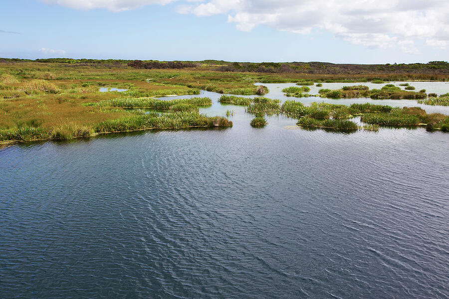 Piccaninnie Ponds, Spring-fed Limestone Ponds At The Photograph by ...