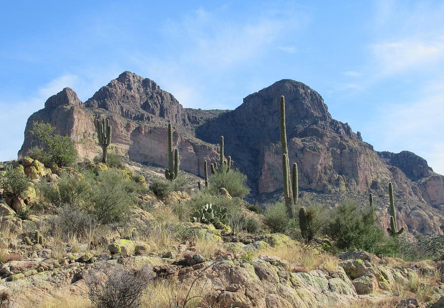 Picketpost Mountain Photograph By Monica Donaldson Stewart - Fine Art 