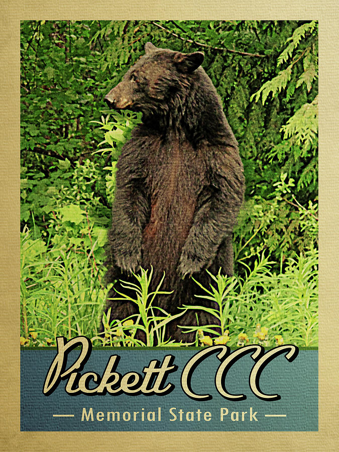 Pickett CCC Memorial State Park Bear Digital Art by Flo Karp Fine Art America