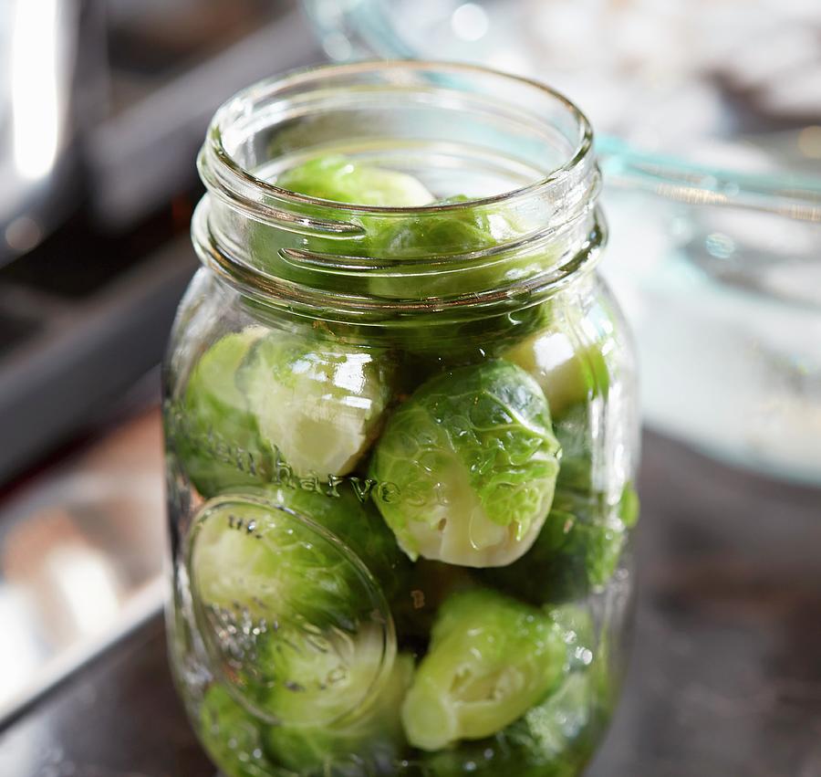 Pickled Brussels Sprouts In A Glass Jar Photograph by Brenda Spaude
