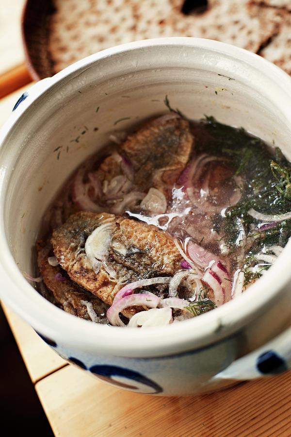 Pickled Fried Herring Photograph by Alex Hinchcliffe