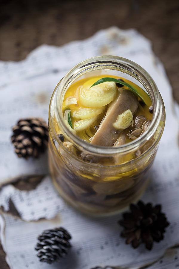 Pickled Oyster Mushrooms In A Jar Photograph by Malgorzata Laniak
