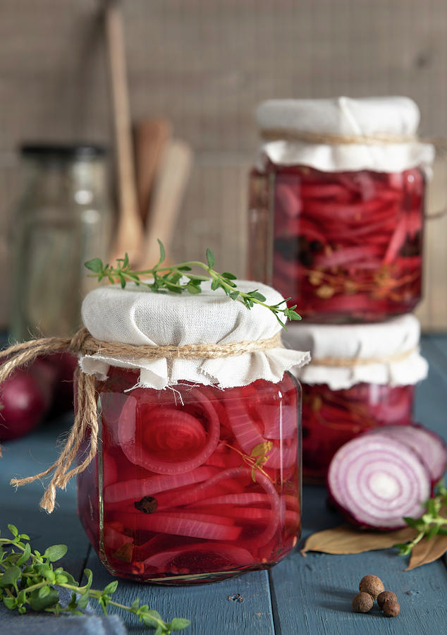 Pickled Red Onions Photograph by Komar