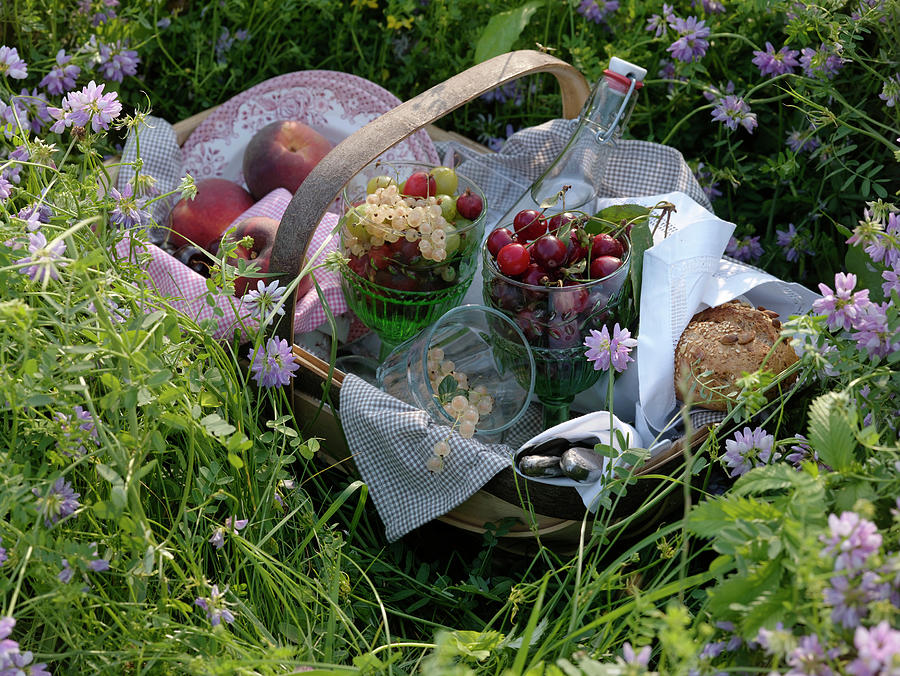 Picnic Basket With Fruits, Water And Bread Photograph by Friedrich Strauss