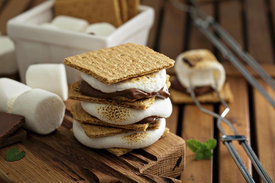Picnic Dessert Smores With Marshmallows, Graham Crackers And Chocolate Photograph by Elena Veselova