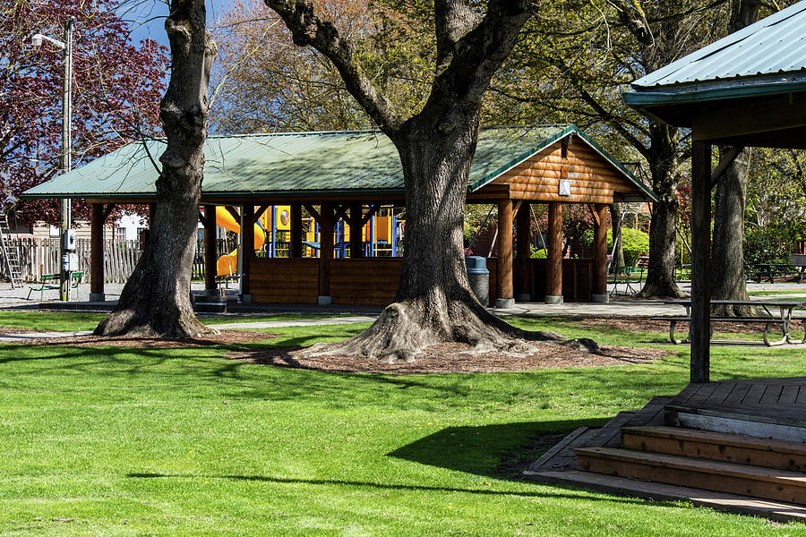Picnic Shelter in Everson Park Photograph by Tom Cochran