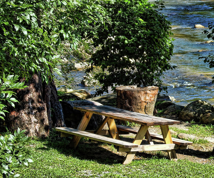 Tree Photograph - PIcnic table by the river by Cathy Harper