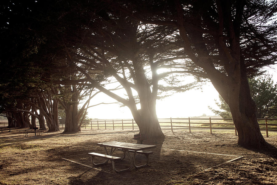 Picnic Table In The Evening Light In A Parking Lot Near Big Sur On Highway 1, California, Usa. Photograph by Julia Franklin Briggs