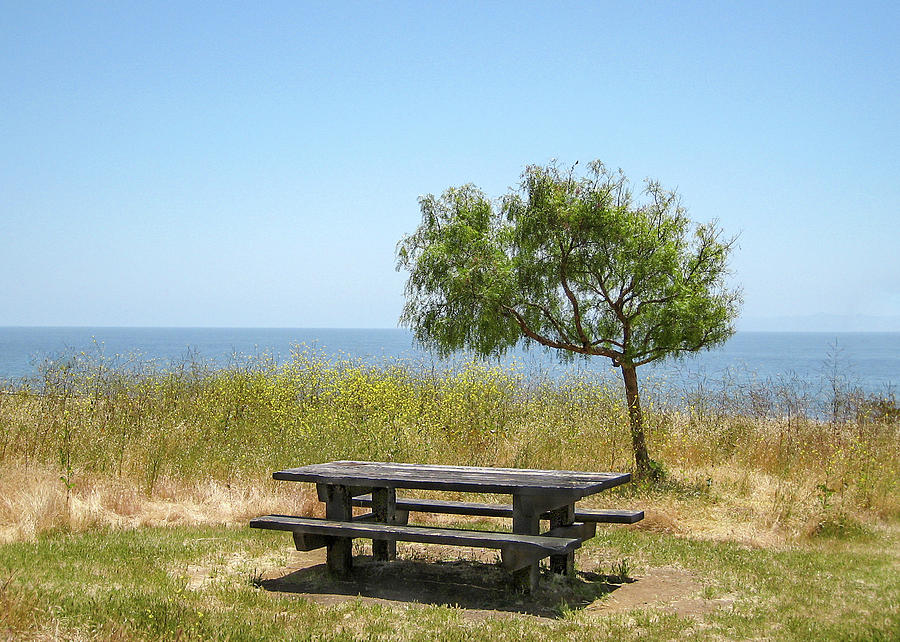 Picnic Table with a View by Mariola Szeliga Picnic Table with a View by Mariola Szeliga