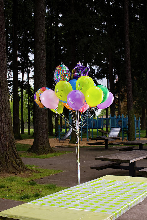 Picnic Table With Ballons Photograph by Todd Warnock