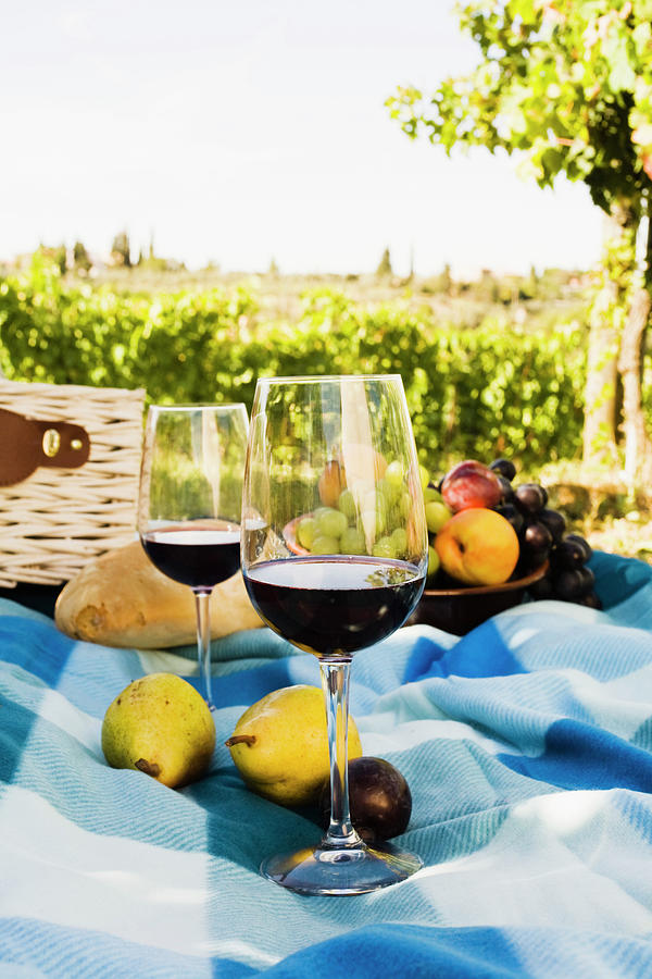 Picnic With Red Wine Photograph by Jupiterimages