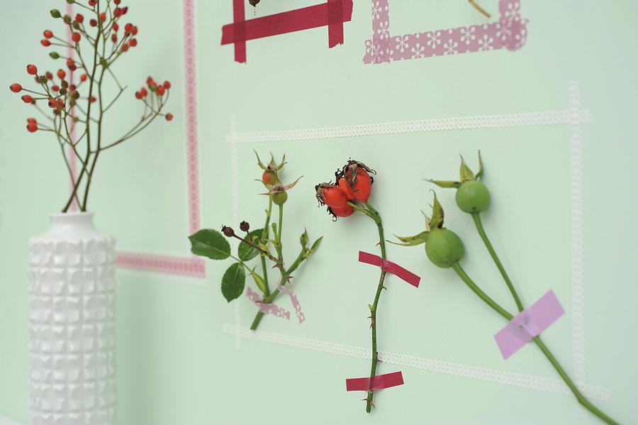 Picture Frames Made From Washi Tape Around Sprigs Of Rose Hips On Wall Photograph by Studio27neun