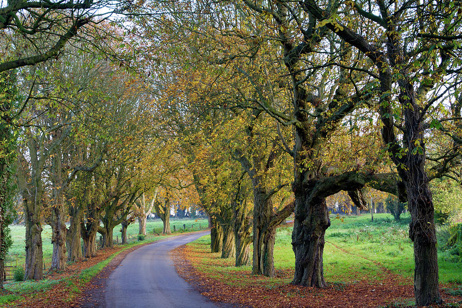 Picturesque Cotswolds - Autumn Photograph by Seeables Visual Arts