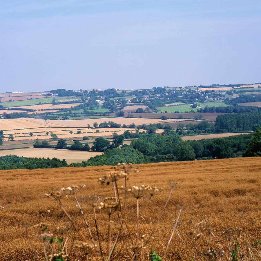 Picturesque Cotswolds - Harvest time landscape Photograph by Seeables Visual Arts