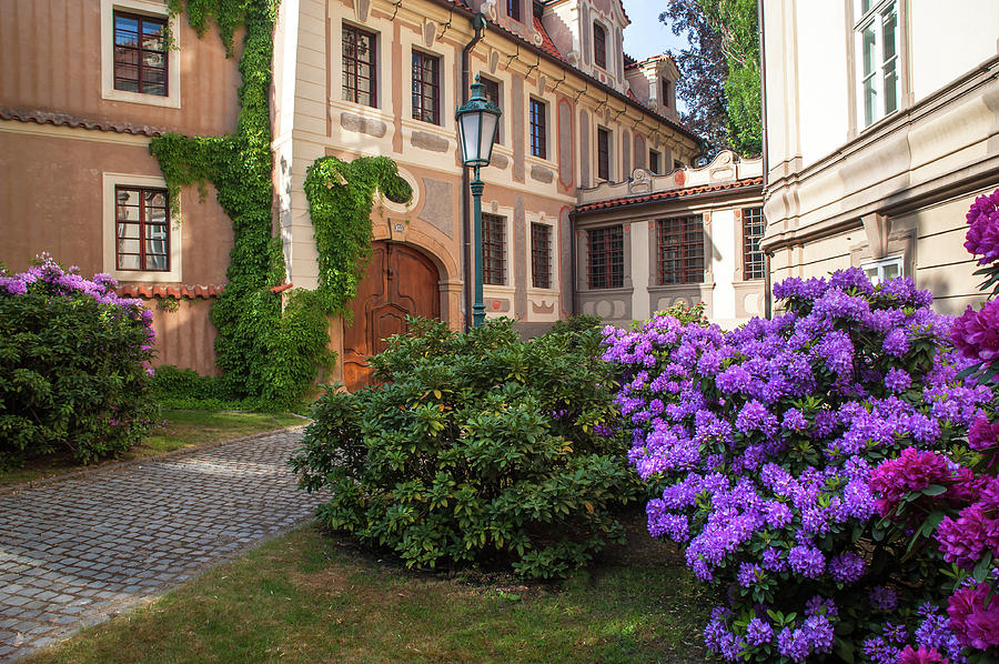 Picturesque Kolowrat Garden With Blooming Rhododendrons 1 Photograph by Jenny Rainbow