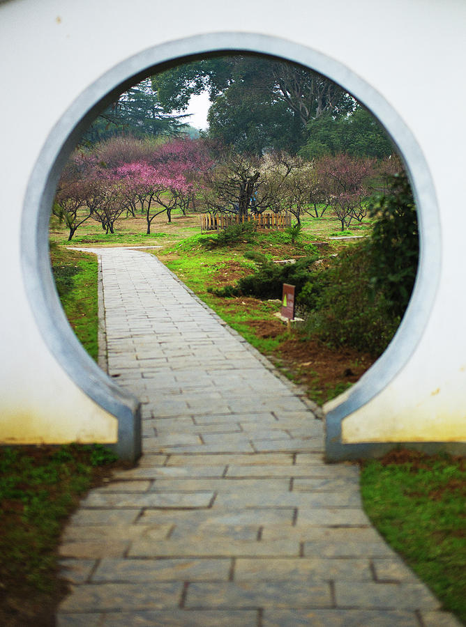 Портал s gate. Китайская арка в саду. Уличная арка Китай. Бетонные китайские арки. Вид через китайские арки.