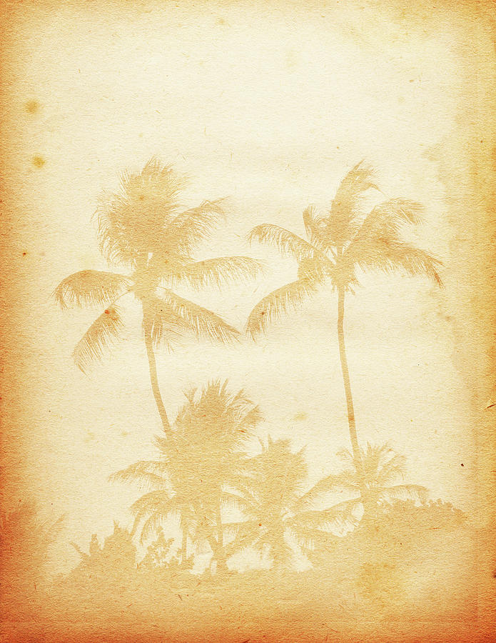 Piece Of Paper With Faded Image Of Palm Photograph by Nic taylor