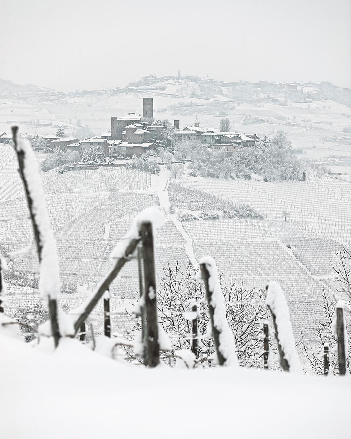 Wine Digital Art - Piedmont, Castiglione Falletto, Italy by Massimo Ripani