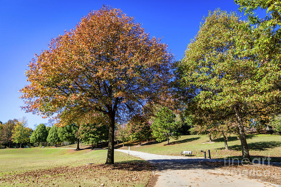 Piedmont Park Atlanta GA 2 Photograph by Sanjeev Singhal