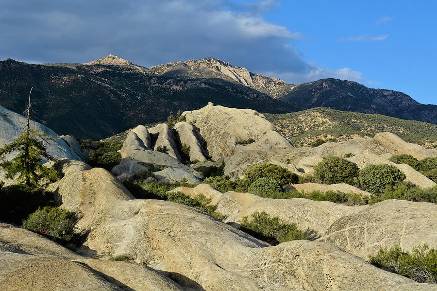 Piedra Blanca Los Padres National Forest Photograph by Kyle Hanson