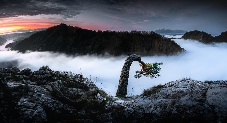 Nature Photograph - Pieniny Icon With A Sea Of Clouds by Maciej
