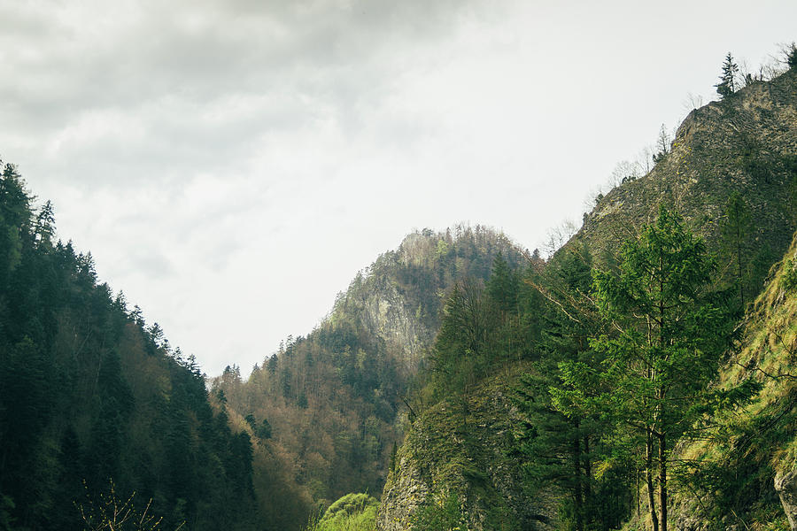 Pieniny Spring Mountains Photograph by Pati Photography