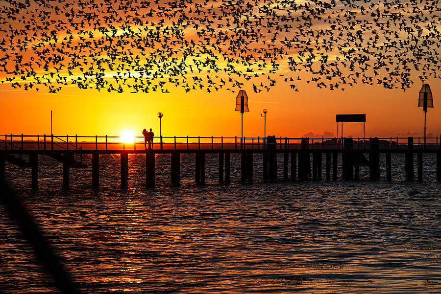 Sunset Photograph - Pier At Sunset by Nicodemo Quaglia