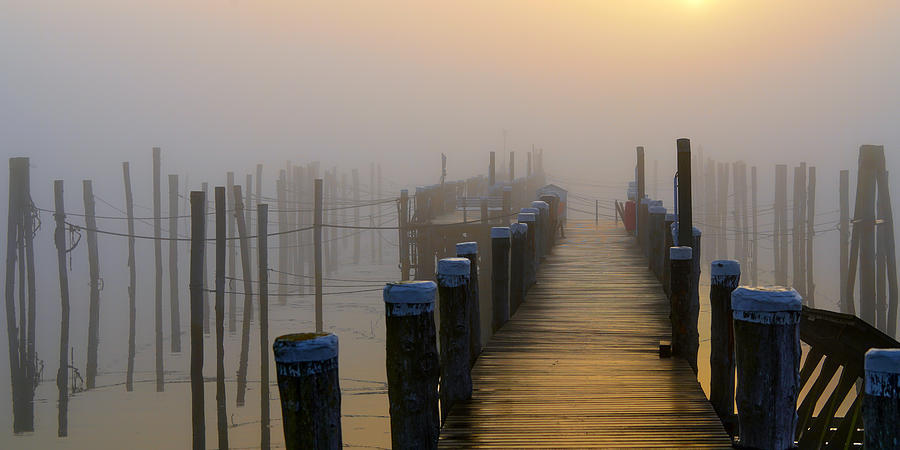 Pier In The Morning Fog Photograph by Bodo Balzer