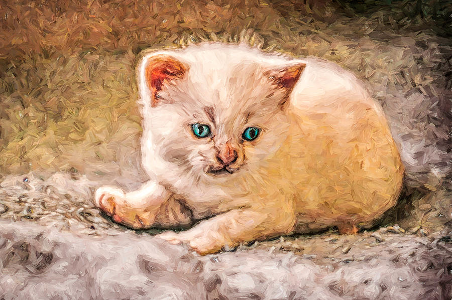 Piercing Blue Eyed Kitty Digital Art by Don Northup