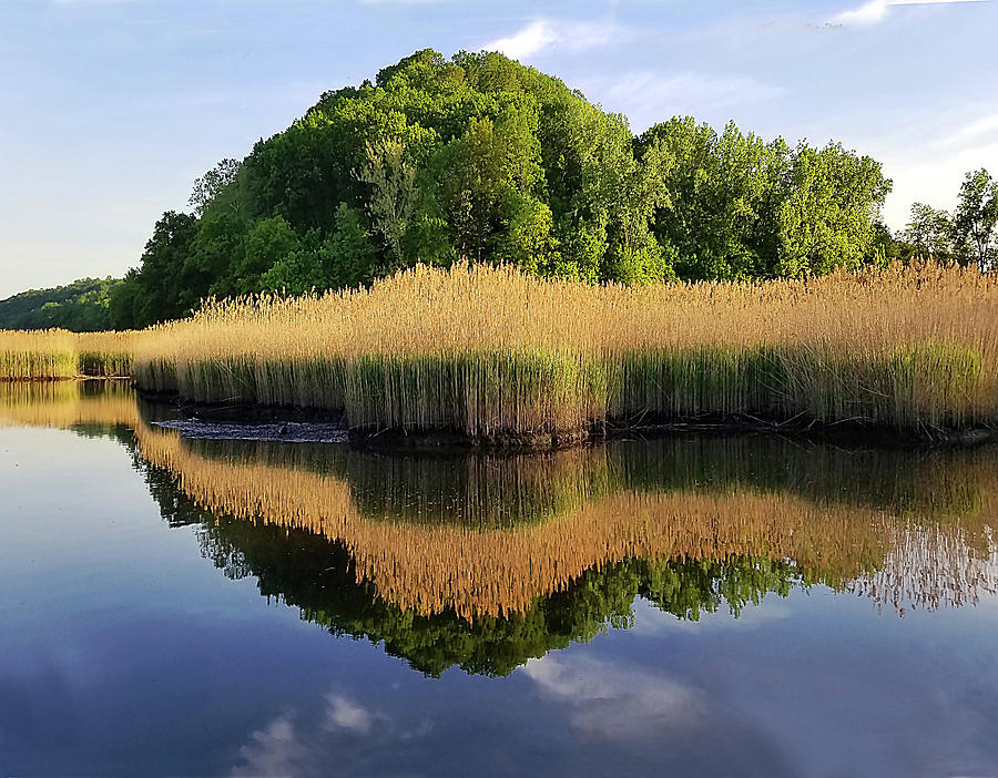 Piermont Summer Backwater by Roger Bester Piermont Summer Backwater by Roger Bester