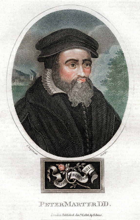 Pietro Martire Vermigli 1499-1562 Drawing by Print Collector